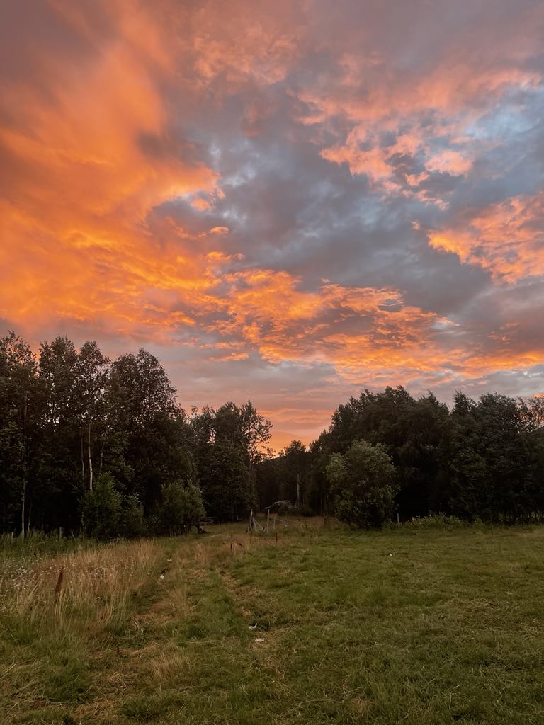 Når samfunnet ikke tåler det som er&nbsp;anderledes