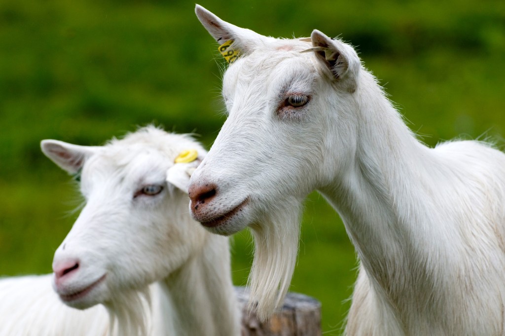 Når vi må velge mellom sult og selvråderett – hva velger vi&nbsp;da?