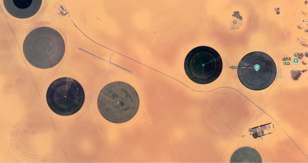 Fra arktisk jord til ørkensand – om å forstå matens sanne&nbsp;verdi!