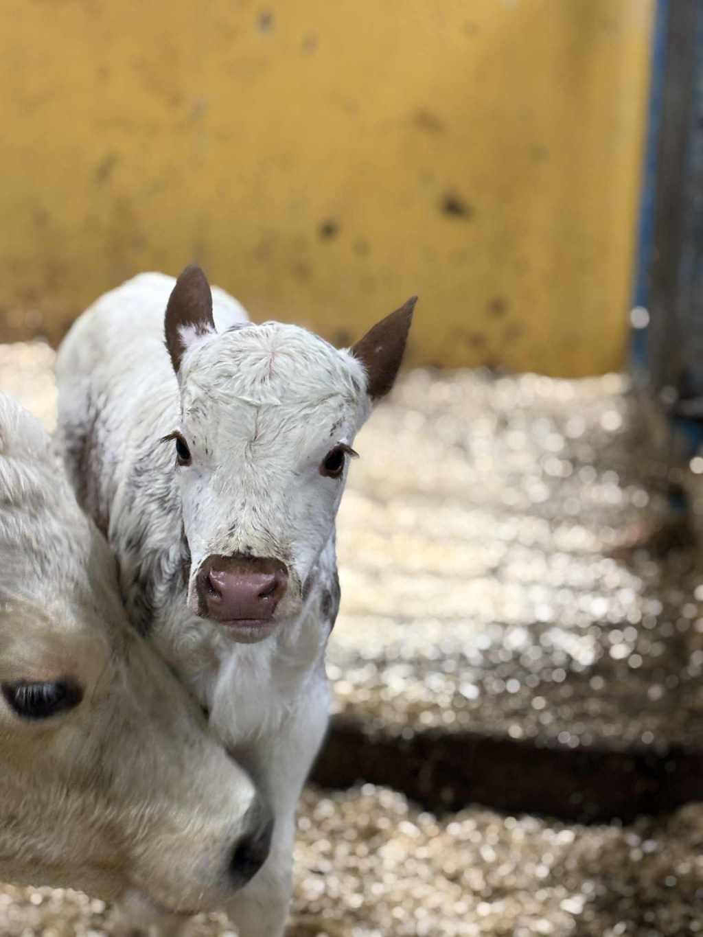 Når beredskapen flyttes fra jorda til&nbsp;kjøpesenteret